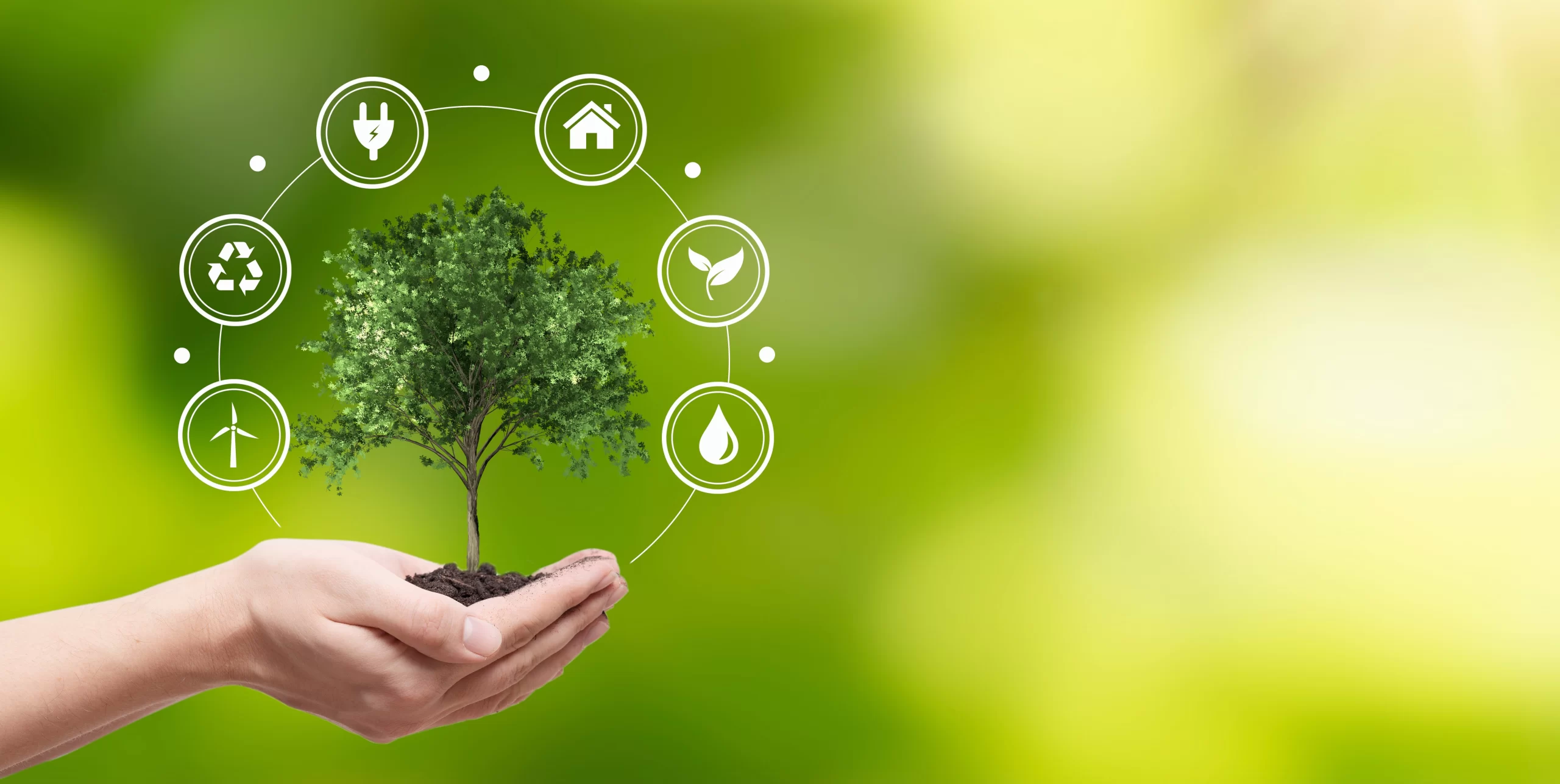 Environmental Services - Entech Consulting Group